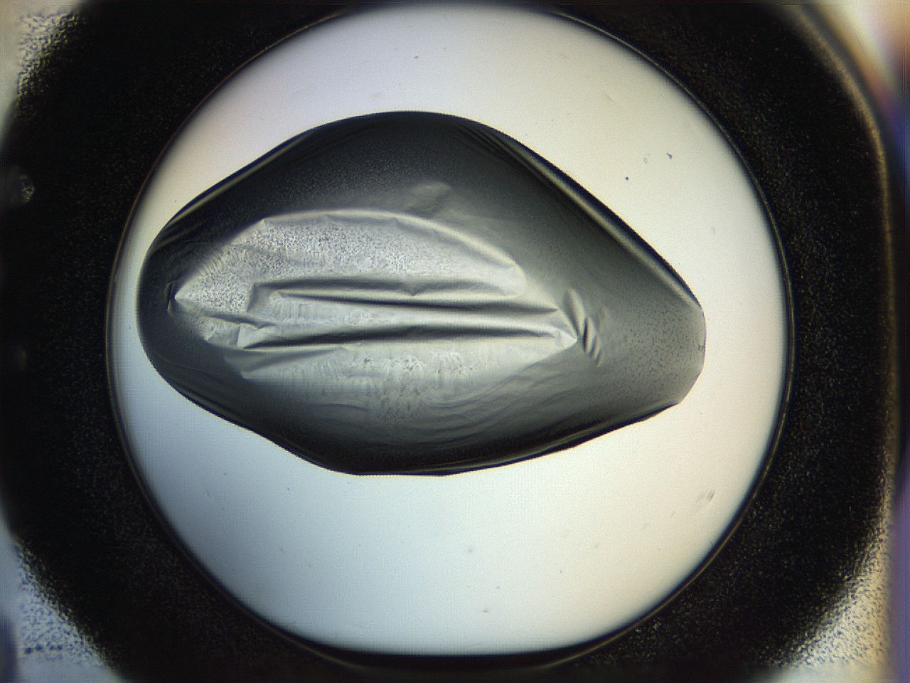 04rs_E4_ImagerDefaults_2.jpg