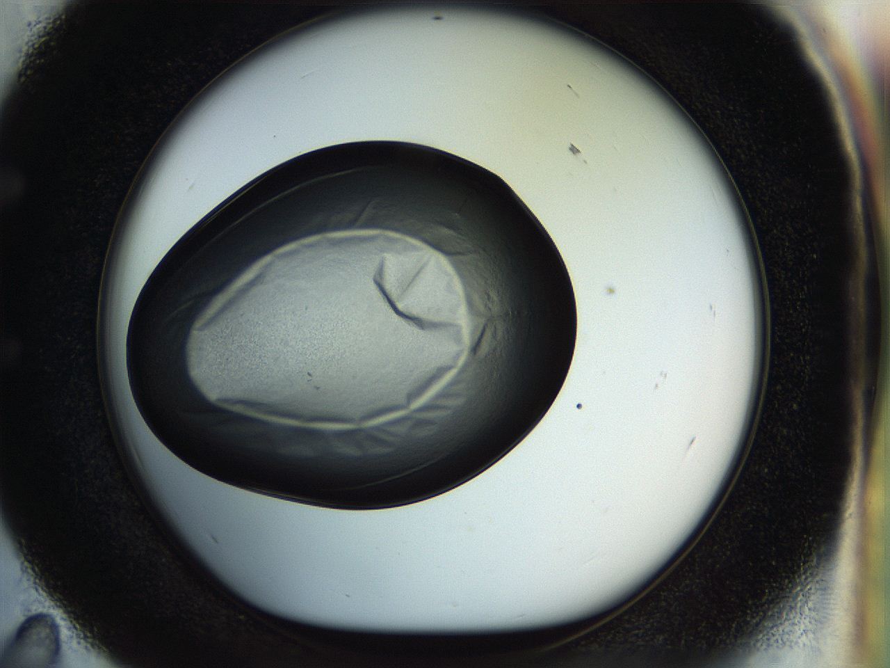 04rs_E11_ImagerDefaults_2.jpg