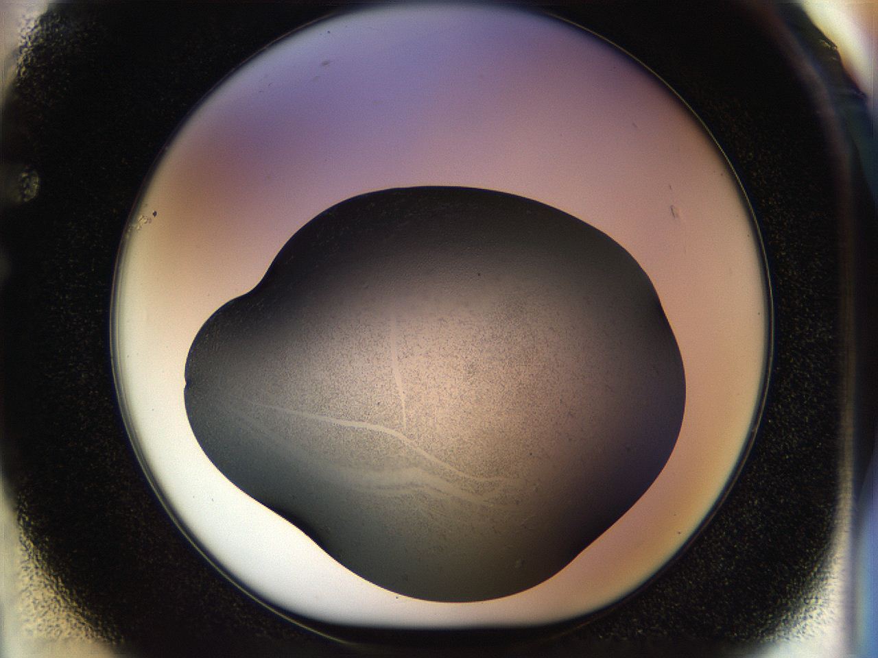 04rs_F1_ImagerDefaults_3.jpg
