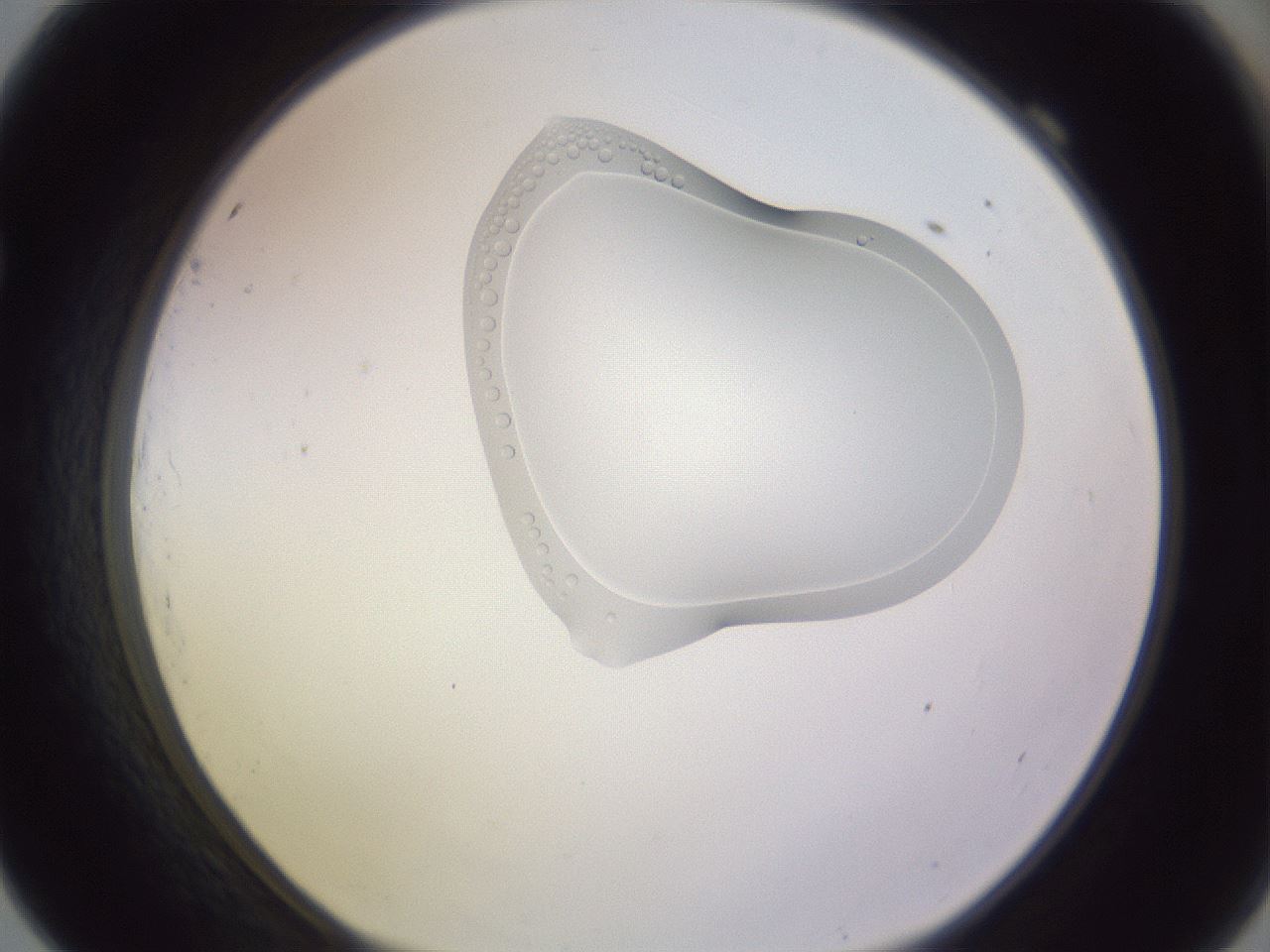 folderID281_plateID1281_batchID3896_wellNum69_profileID1_d1_r75968_ef.jpg