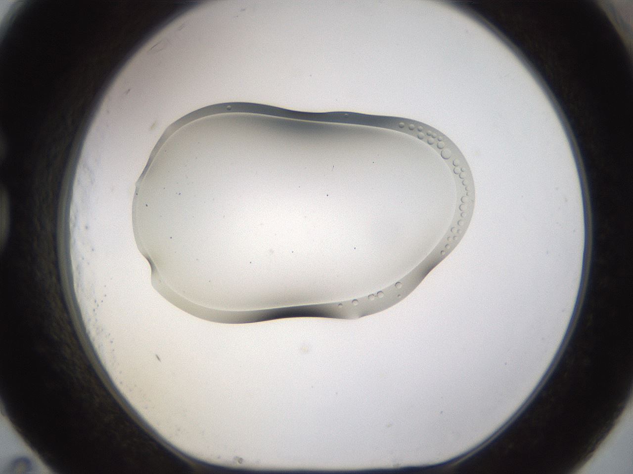 folderID265_plateID3265_batchID19291_wellNum83_profileID1_d1_r287859_ef.jpg