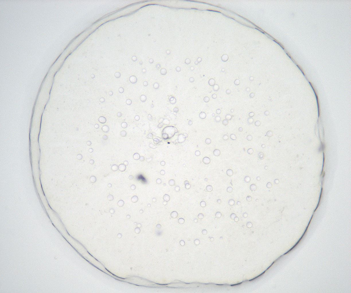 folderID37_plateID2037_batchID9018_wellNum5_profileID1_d1_r136822_ef.jpg