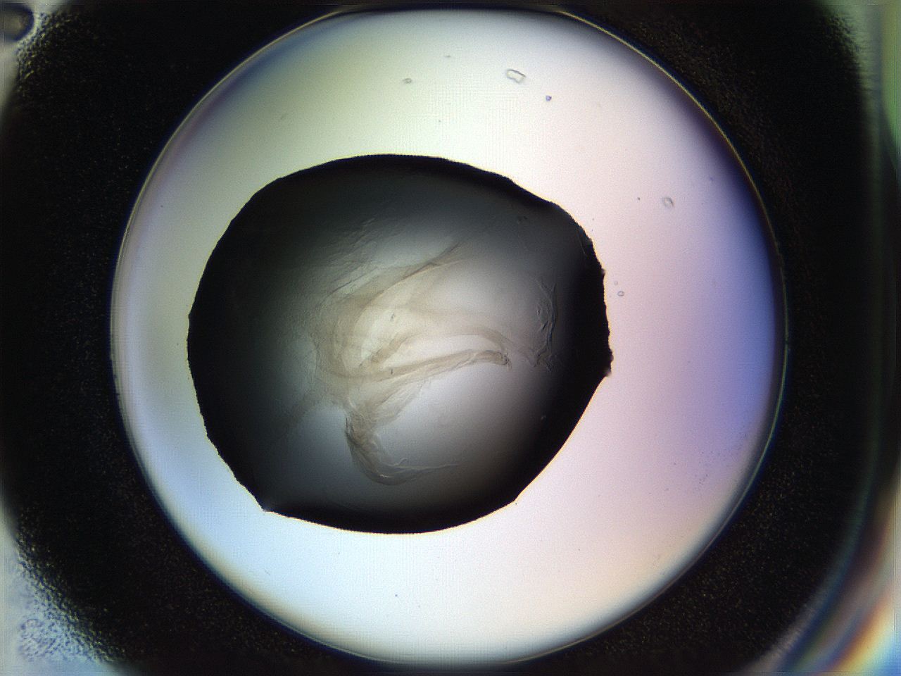 04rs_G2_ImagerDefaults_2.jpg