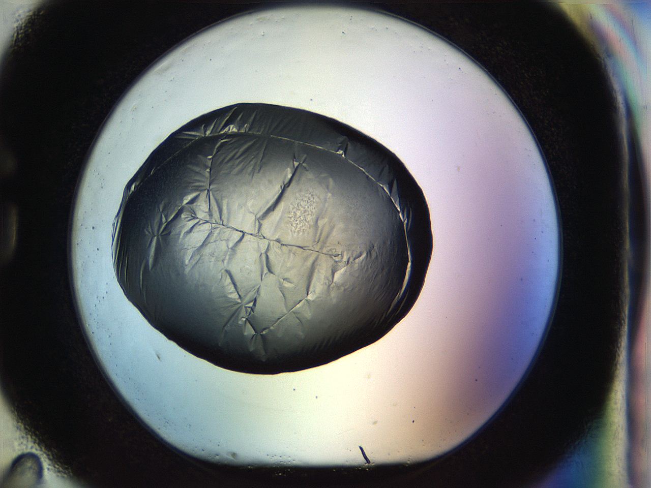 04rs_G11_ImagerDefaults_2.jpg