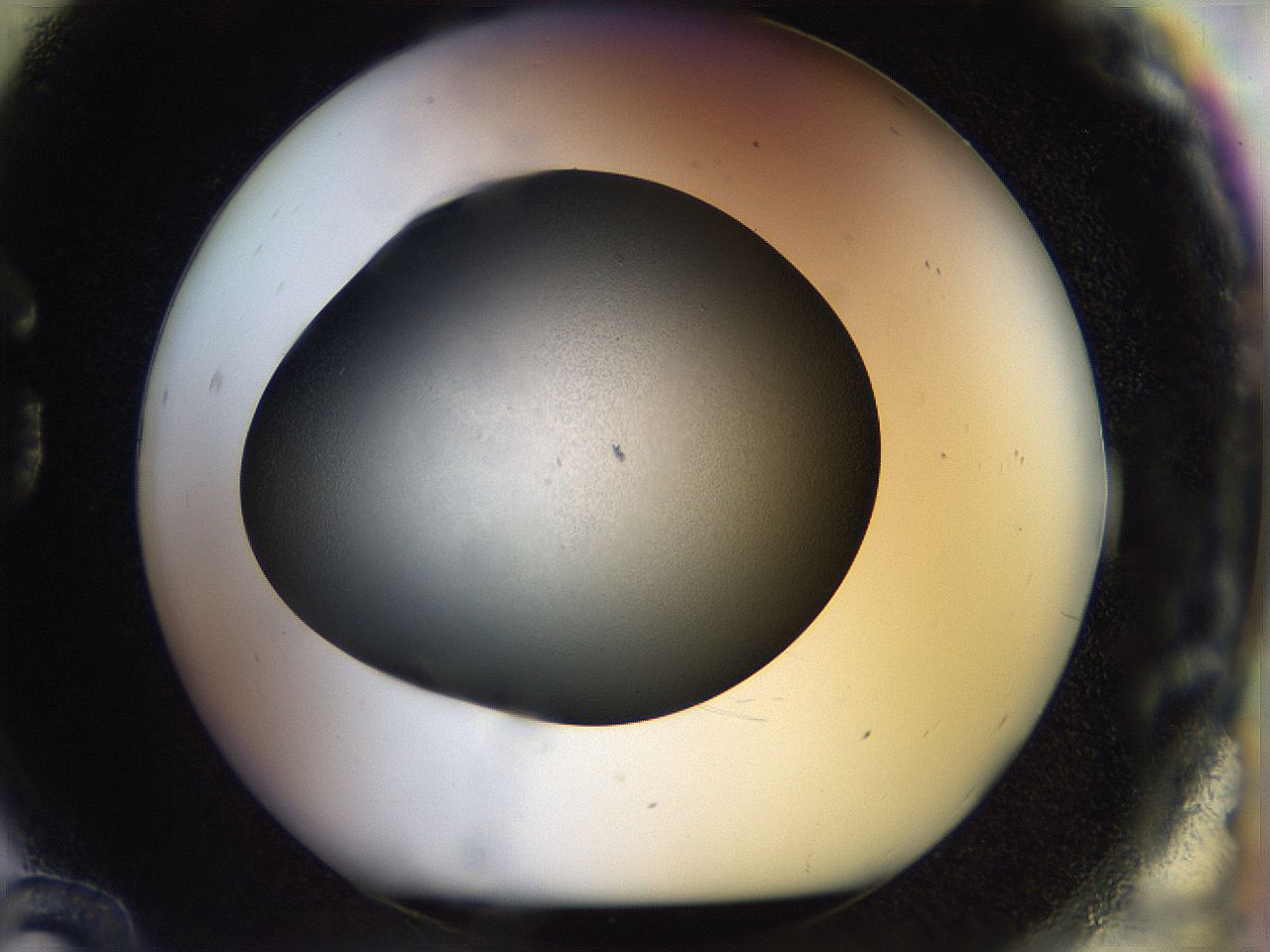 04rs_G12_ImagerDefaults_1.jpg