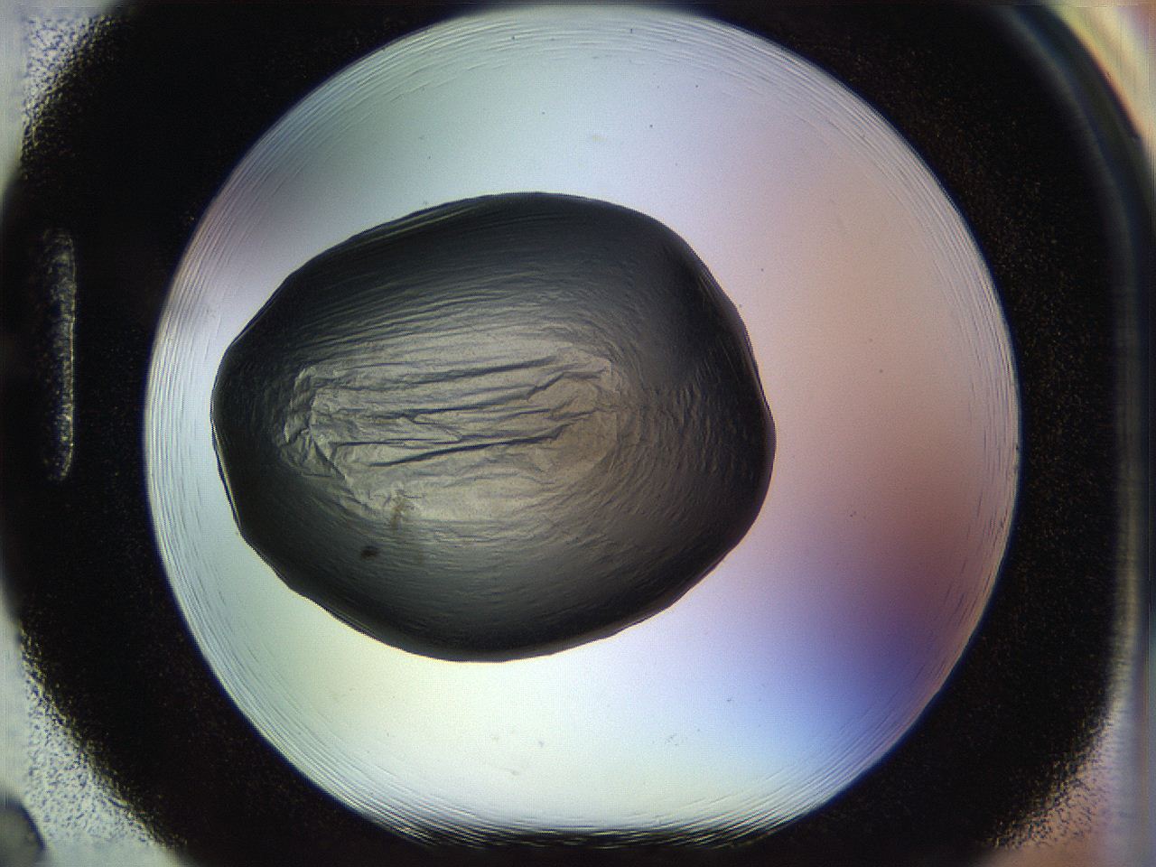 04rs_H2_ImagerDefaults_1.jpg