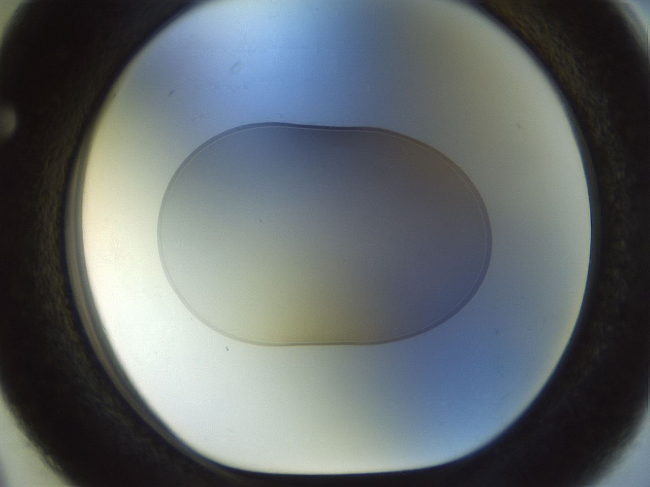 folderID924_plateID1924_batchID8294_wellNum63_profileID1_d1_r128644_ef.jpg
