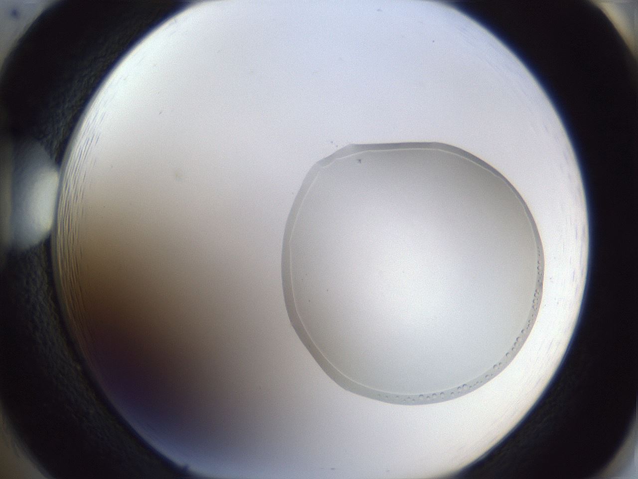 folderID936_plateID936_batchID1284_wellNum85_profileID1_d1_r35019_ef.jpg