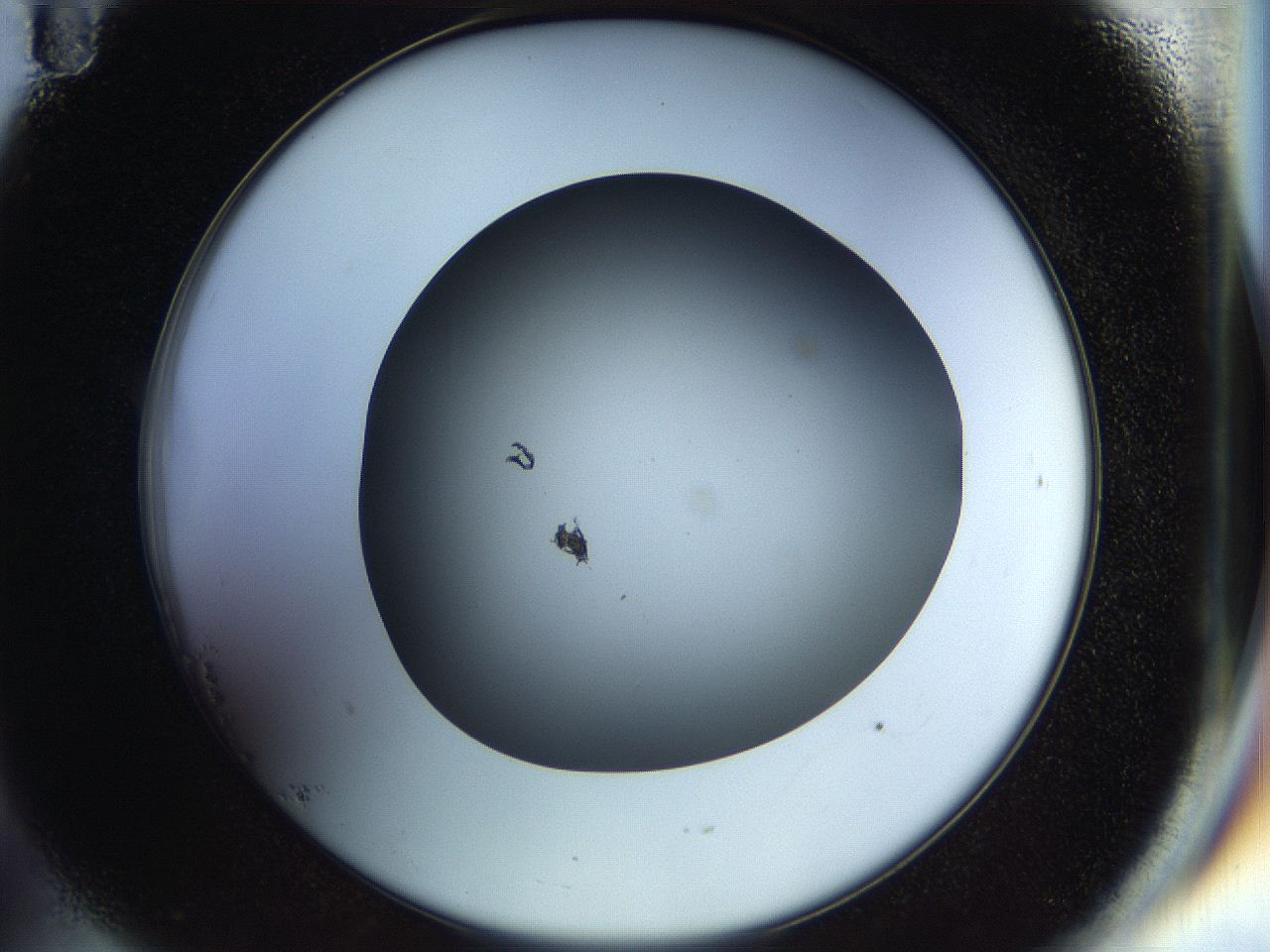 04rt_B11_ImagerDefaults_0.jpg