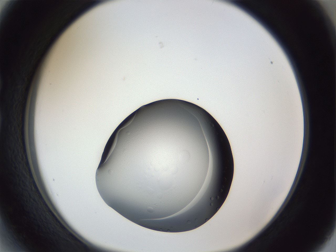 folderID945_plateID945_batchID1309_wellNum27_profileID1_d1_r35741_ef.jpg