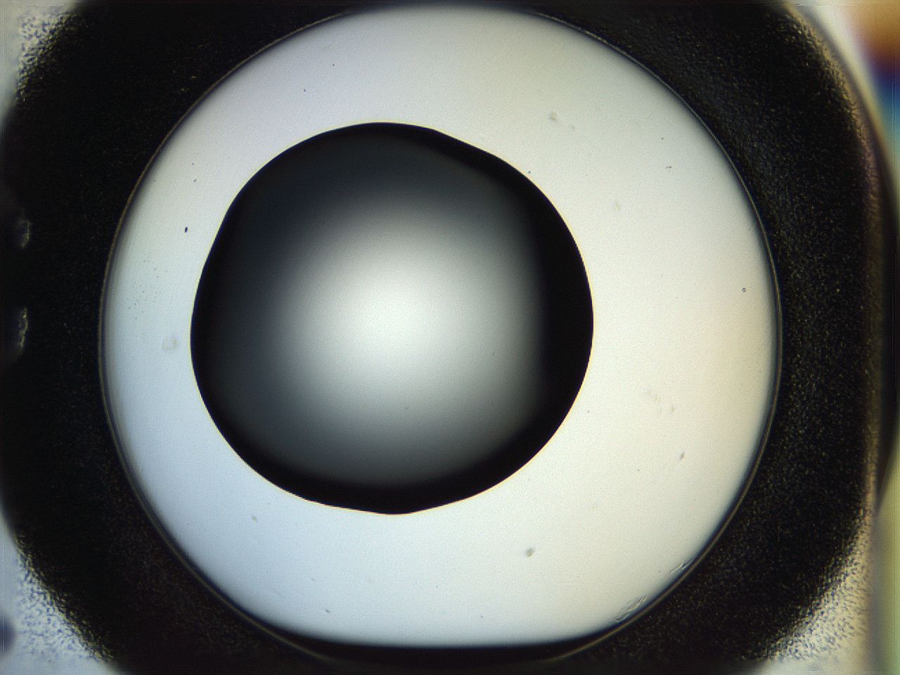 04rt_C5_ImagerDefaults_0.jpg