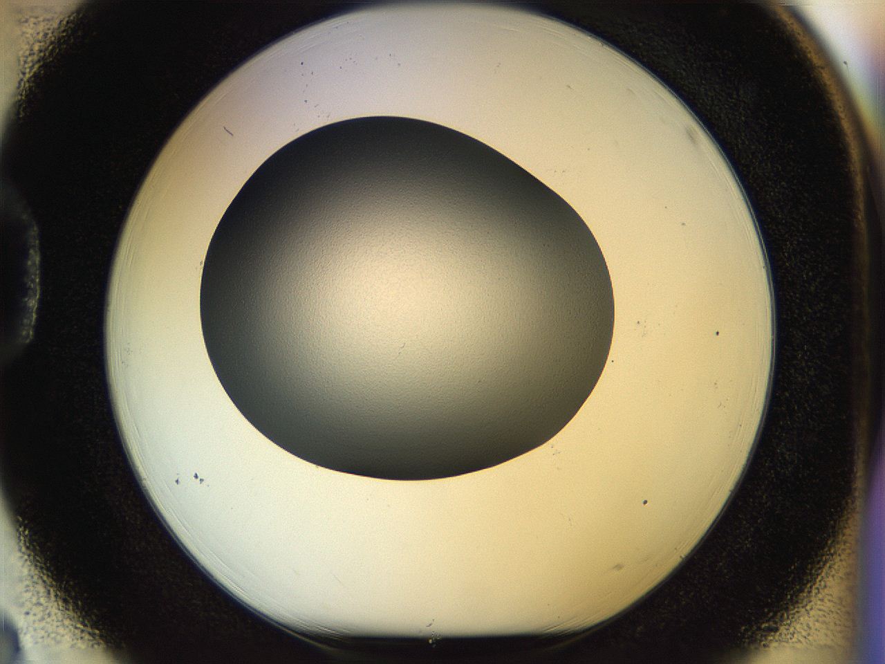 04rt_D3_ImagerDefaults_0.jpg