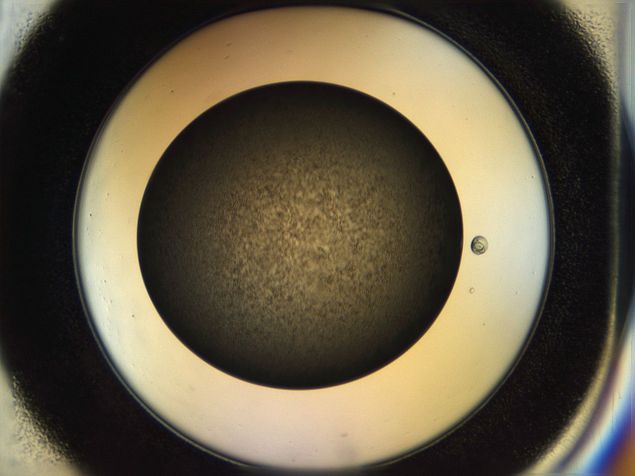 04rt_C1_ImagerDefaults_3.jpg