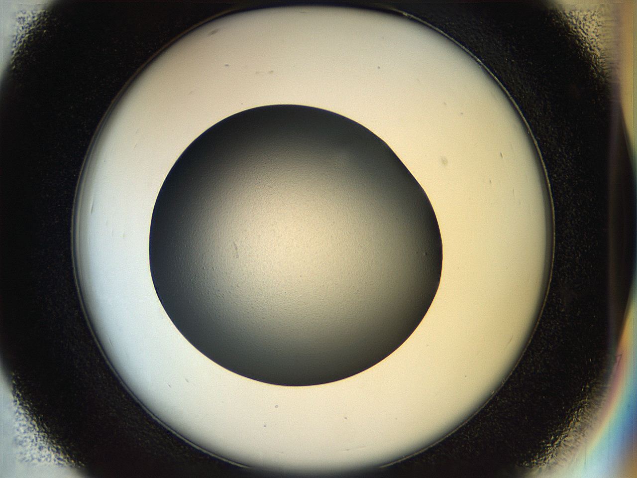 04rt_D7_ImagerDefaults_0.jpg