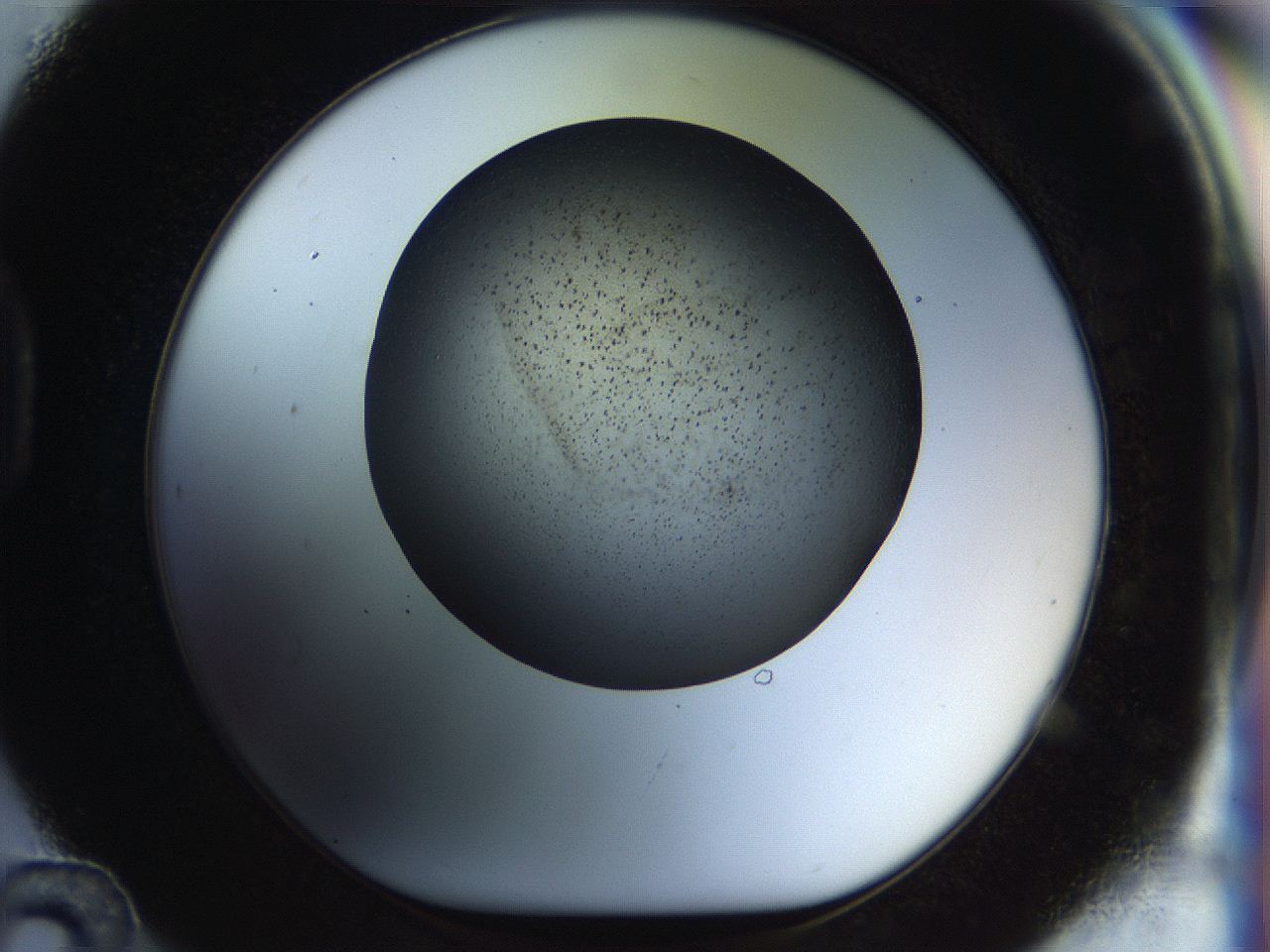 04rt_D12_ImagerDefaults_2.jpg
