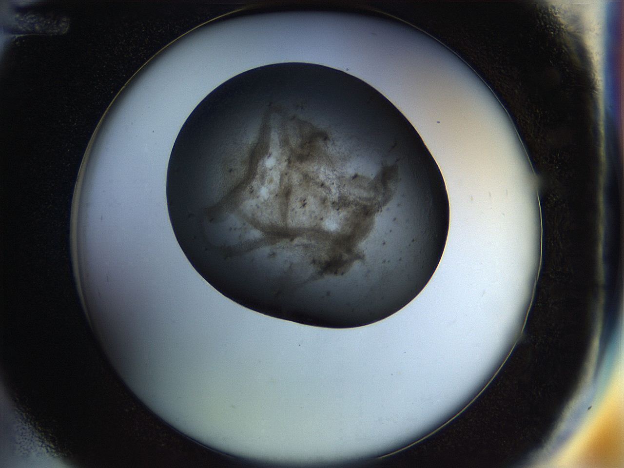 04rt_D12_ImagerDefaults_3.jpg