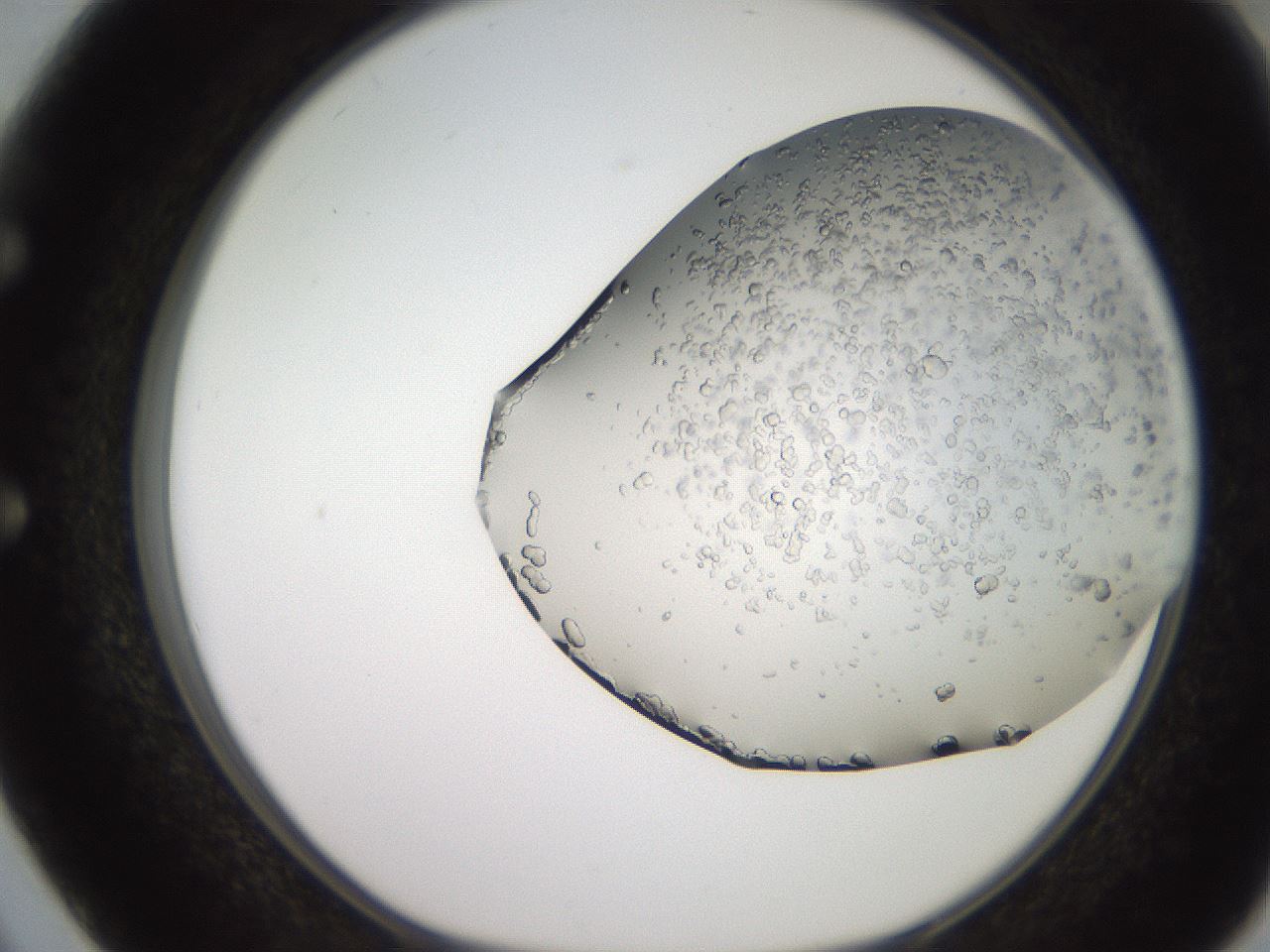 folderID241_plateID2241_batchID10102_wellNum50_profileID1_d1_r154915_ef.jpg