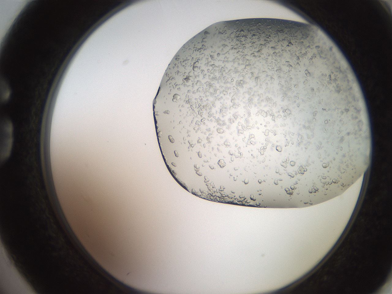 folderID241_plateID2241_batchID10147_wellNum74_profileID1_d1_r154939_ef.jpg