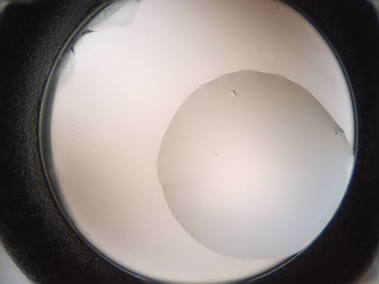 folderID323_plateID3323_batchID19194_wellNum72_profileID1_d2_r292936_ef.jpg