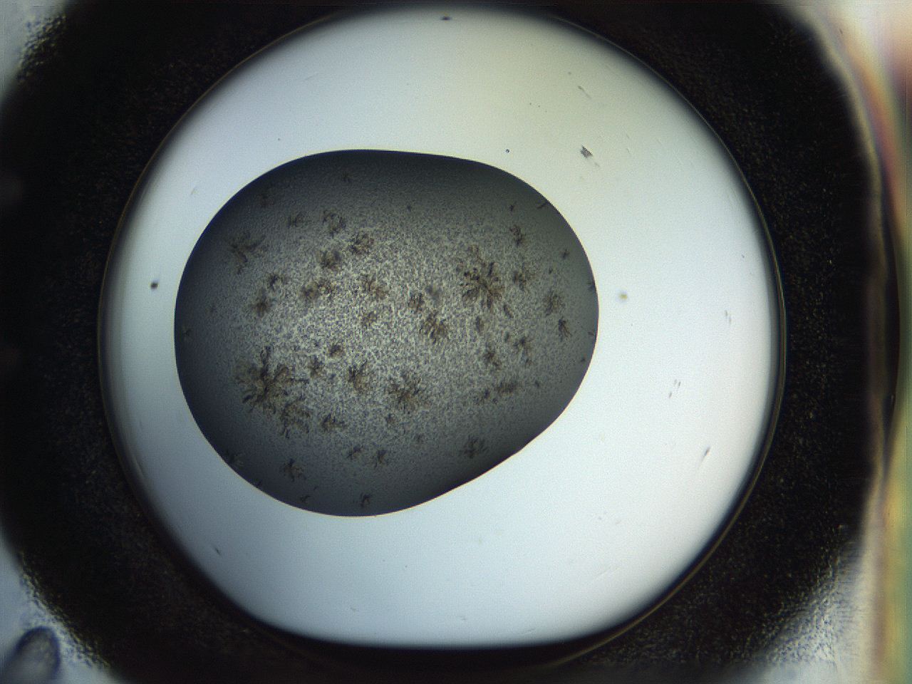 04rt_E11_ImagerDefaults_3.jpg