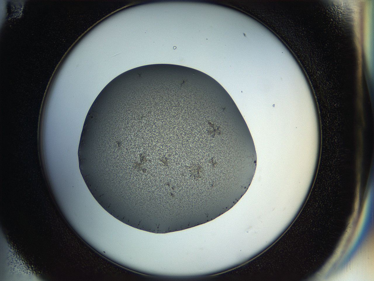 04rt_E11_ImagerDefaults_7.jpg