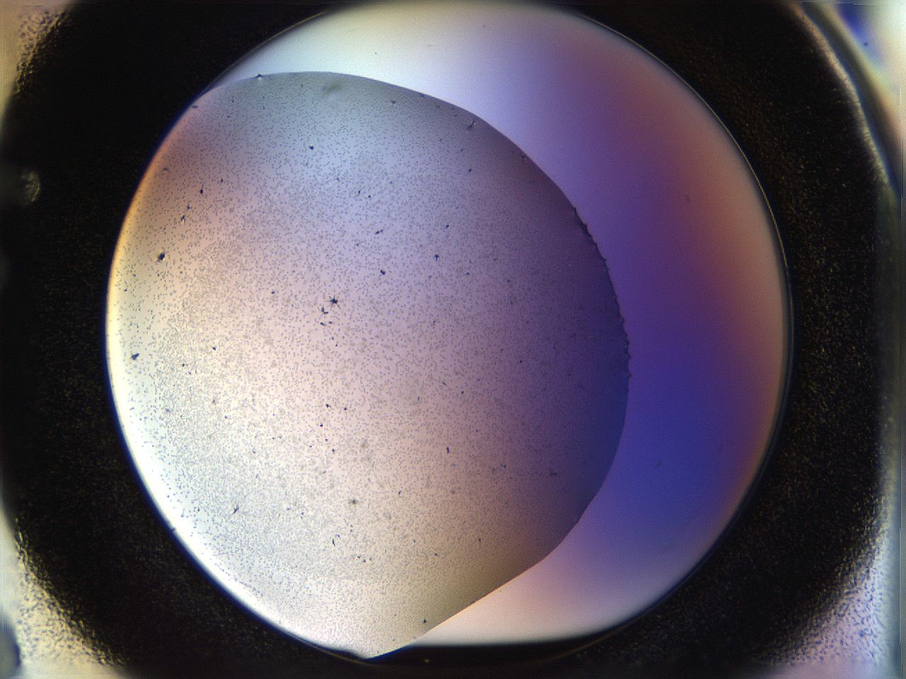 04rt_F3_ImagerDefaults_1.jpg