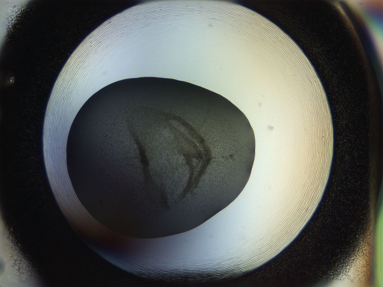 04rt_F5_ImagerDefaults_3.jpg
