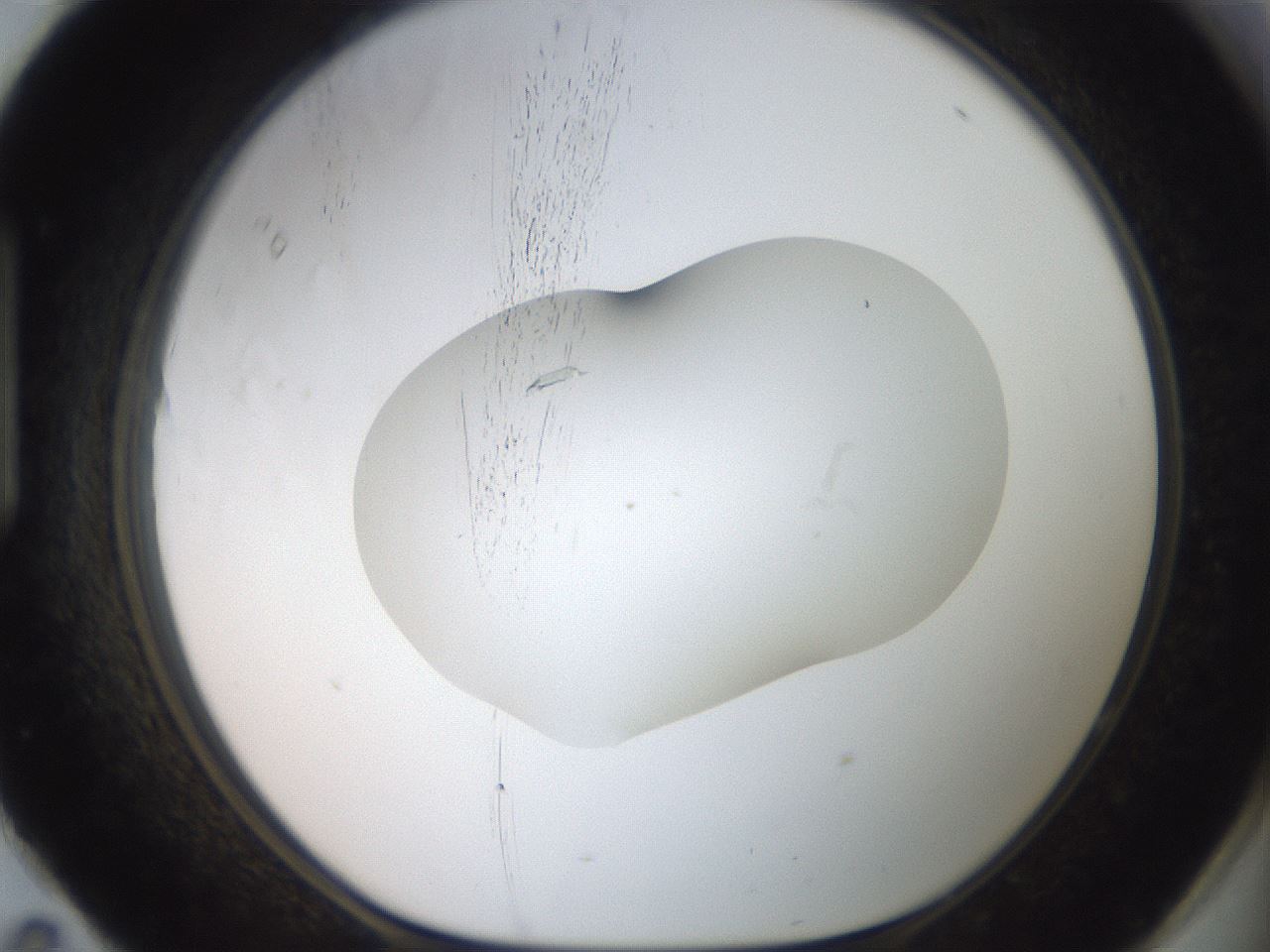 folderID510_plateID3510_batchID20643_wellNum95_profileID1_d1_r315074_ef.jpg