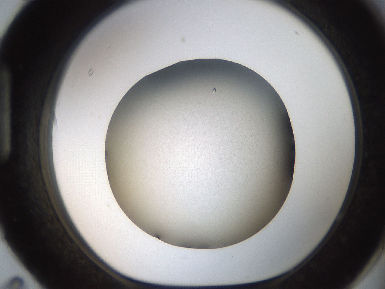 folderID735_plateID1735_batchID7184_wellNum95_profileID1_d1_r115681_ef.jpg