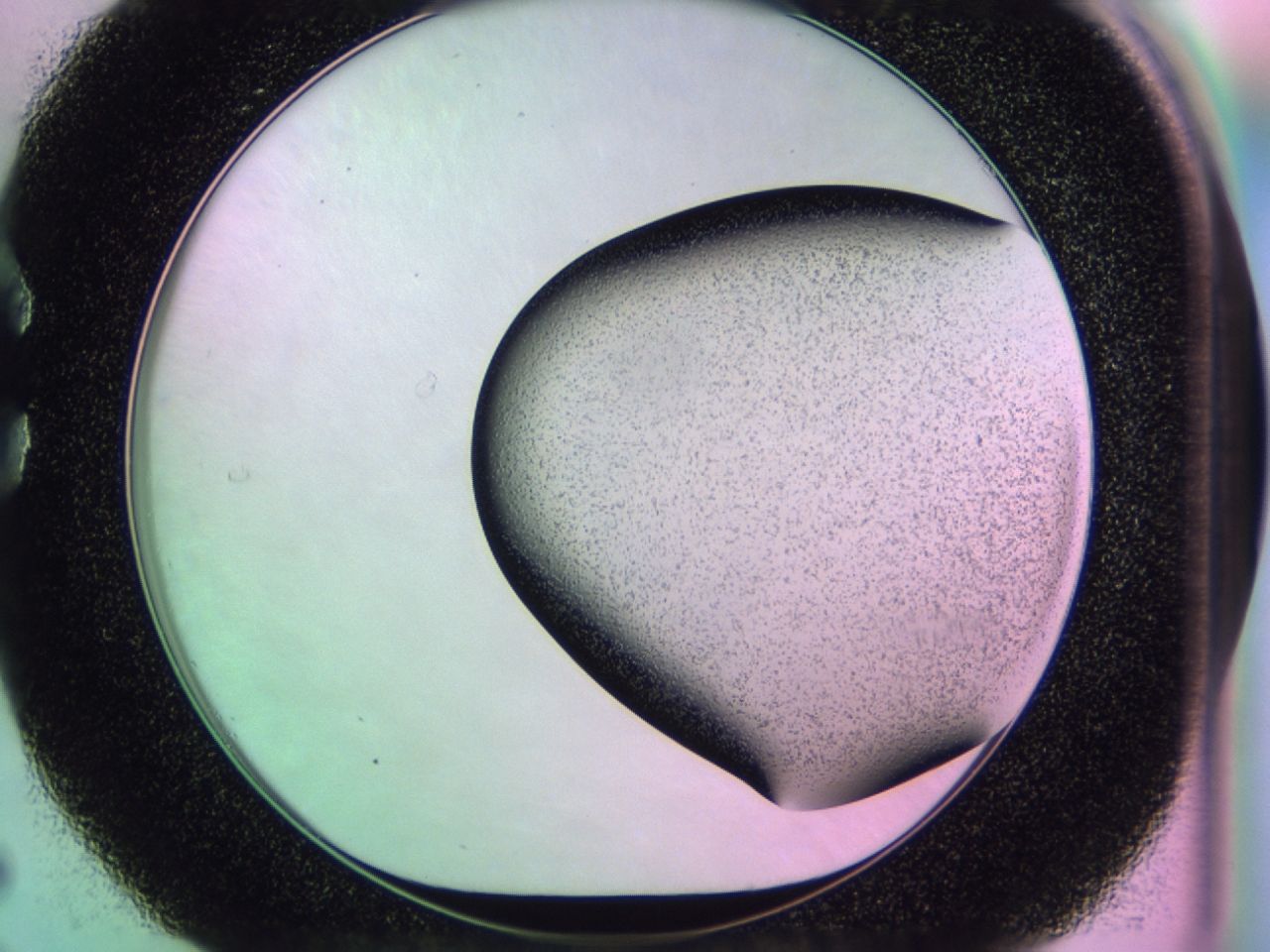 01dd_C5_ImagerDefaults_1.jpg