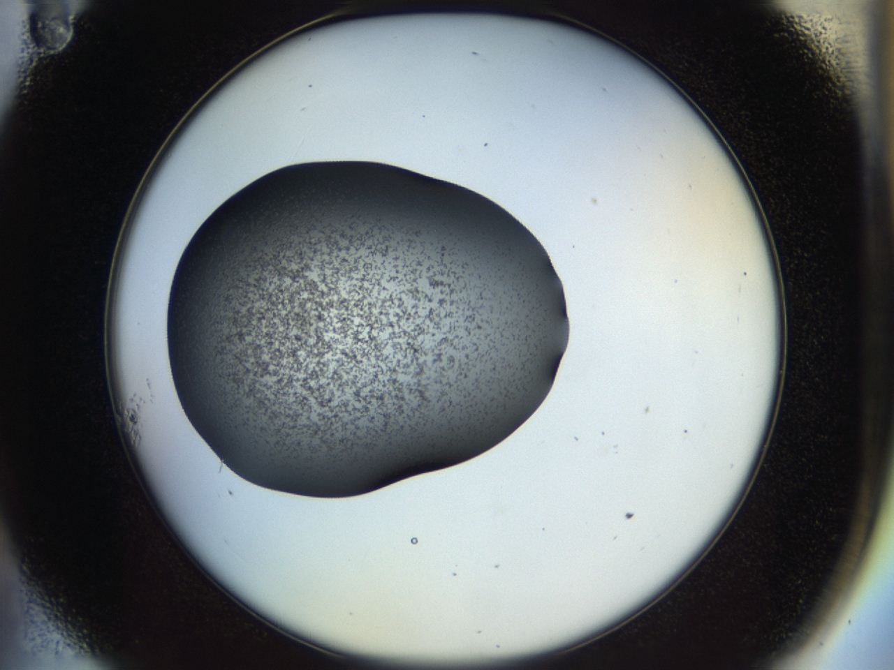 04ru_A11_ImagerDefaults_2.jpg
