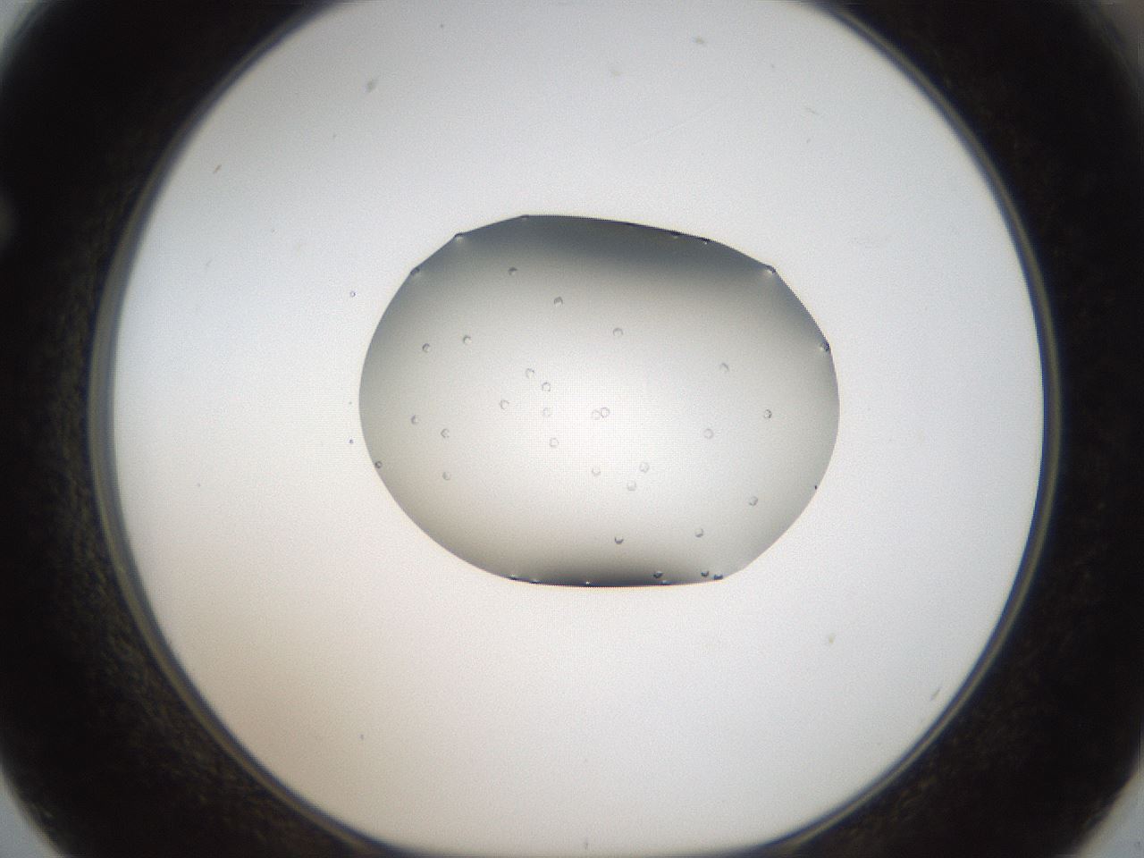 folderID964_plateID1964_batchID8601_wellNum62_profileID1_d1_r131344_ef.jpg