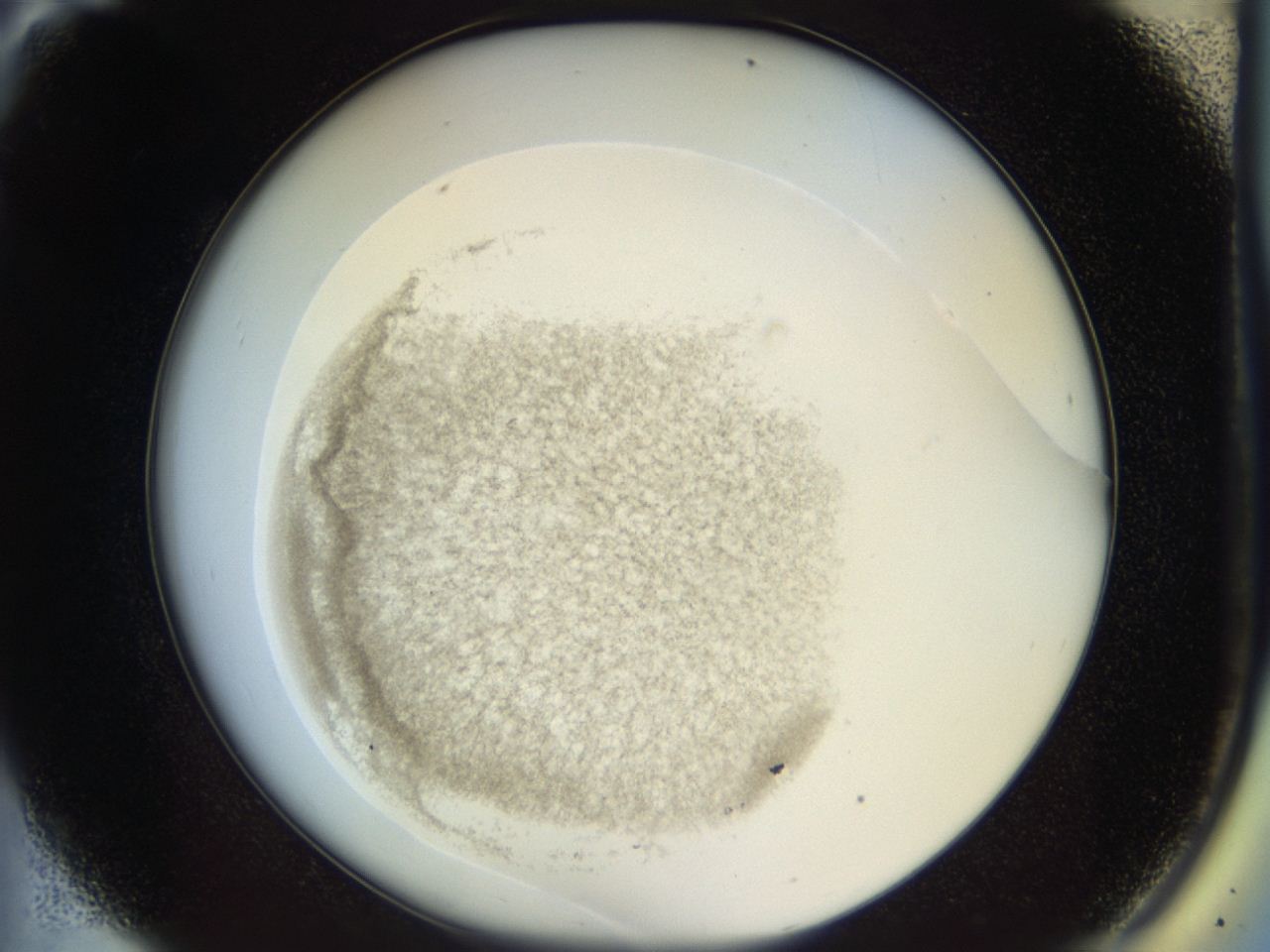 04ru_A8_ImagerDefaults_2.jpg