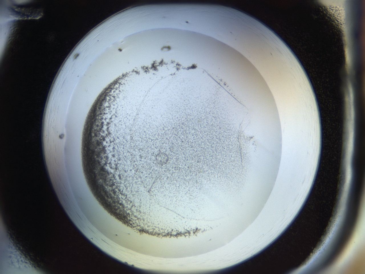 04ru_A12_ImagerDefaults_2.jpg
