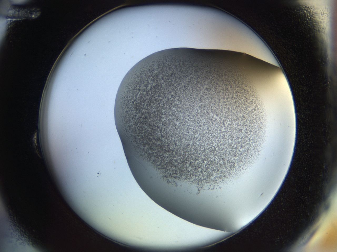04ru_B12_ImagerDefaults_2.jpg