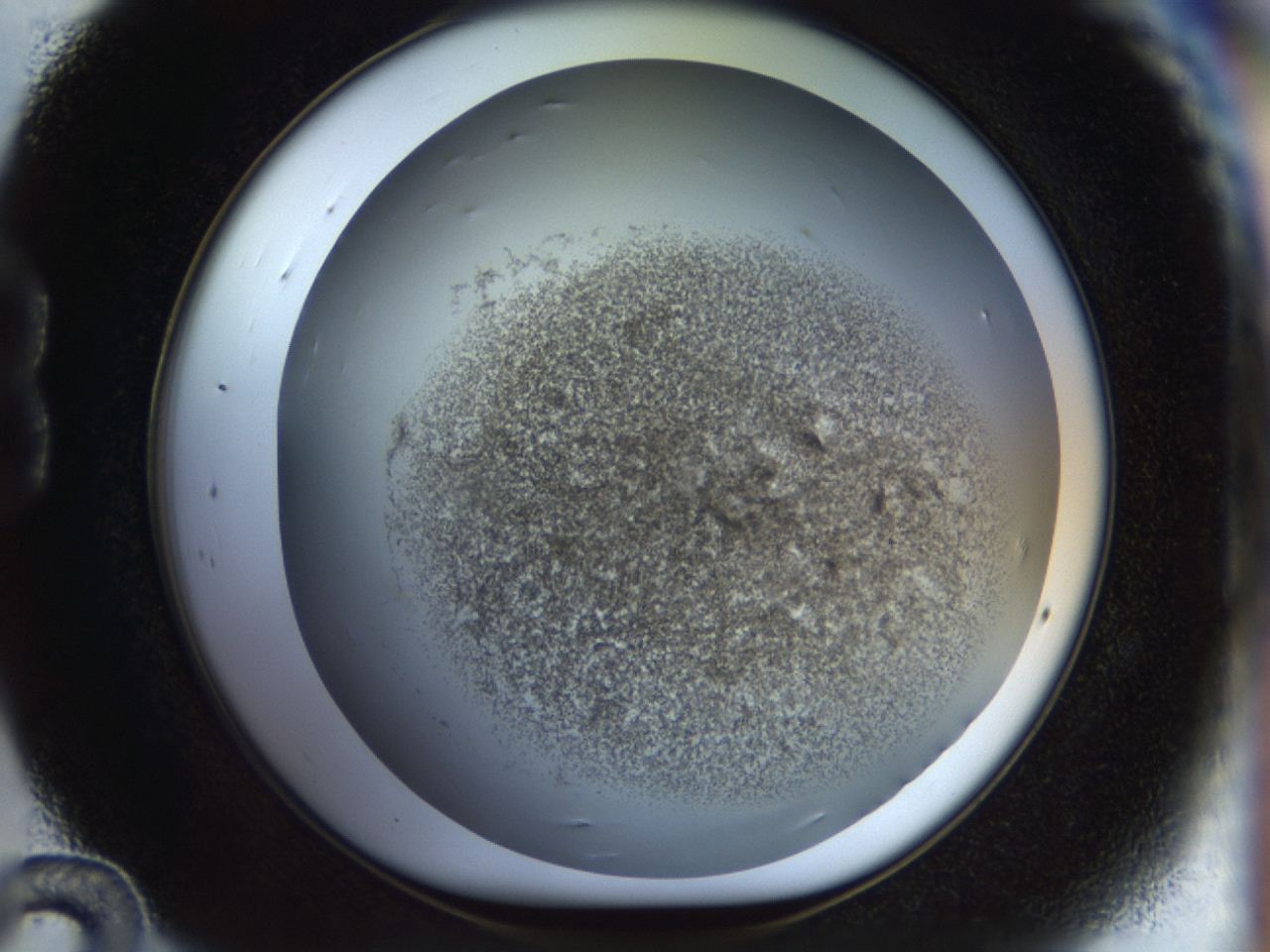 04ru_B12_ImagerDefaults_3.jpg