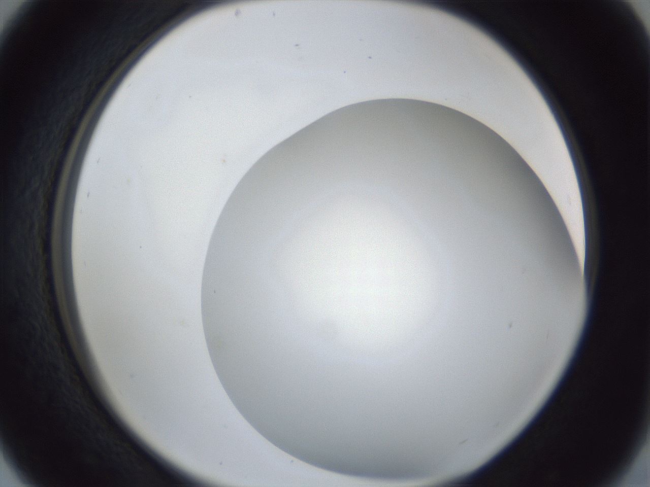 folderID165_plateID1165_batchID2734_wellNum29_profileID1_d2_r61144_ef.jpg