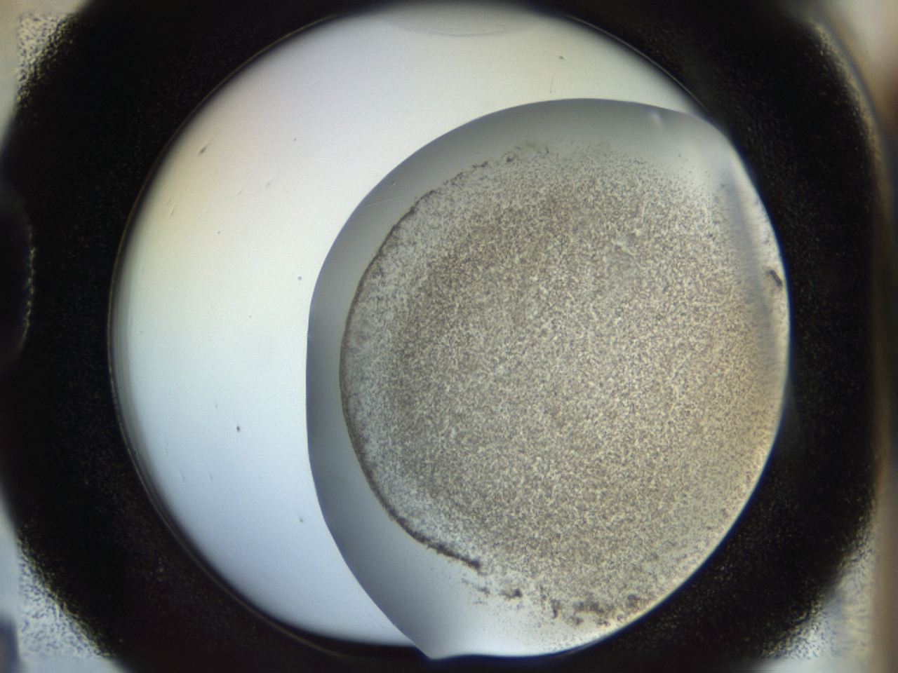 04ru_D4_ImagerDefaults_3.jpg