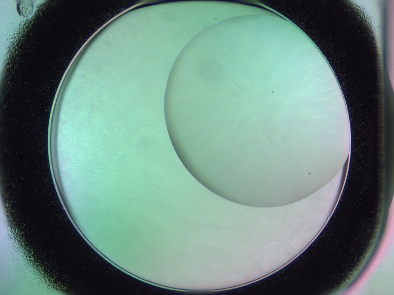 01dd_A11_ImagerDefaults_0.jpg