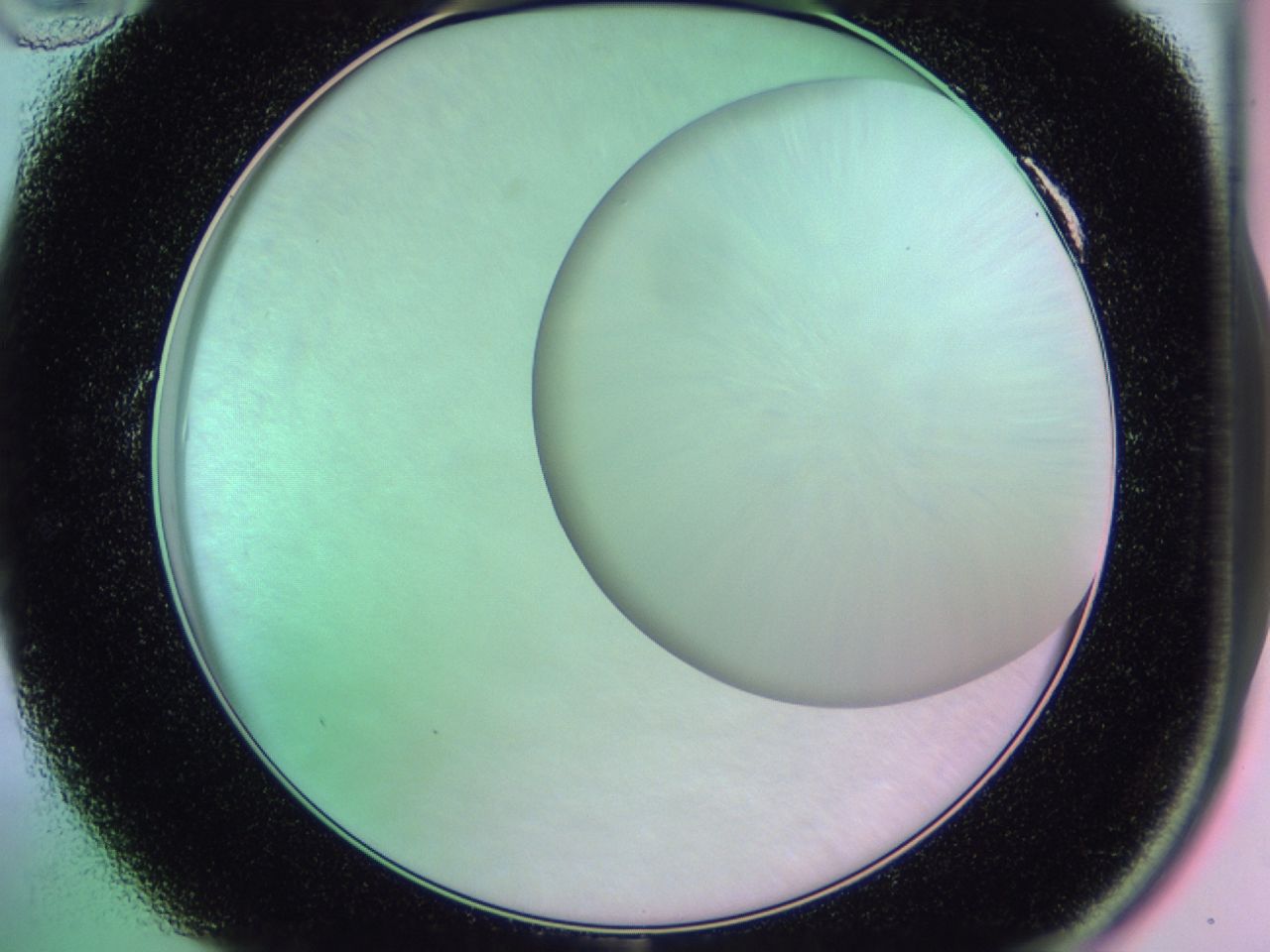 01dd_A10_ImagerDefaults_0.jpg