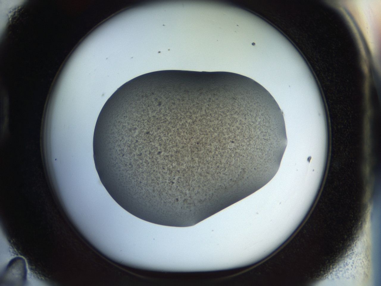 04ru_D11_ImagerDefaults_3.jpg