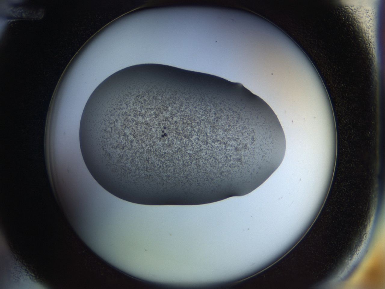 04ru_D12_ImagerDefaults_2.jpg