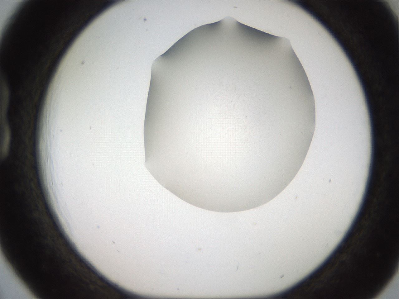 folderID185_plateID2185_batchID10242_wellNum18_profileID1_d1_r147848_ef.jpg