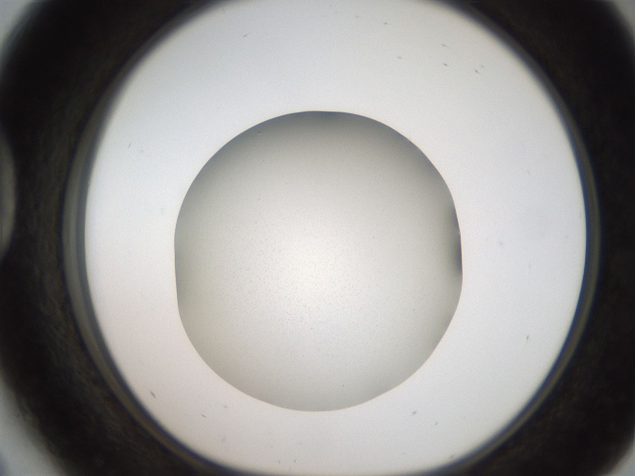 folderID185_plateID2185_batchID9757_wellNum41_profileID1_d1_r147871_ef.jpg