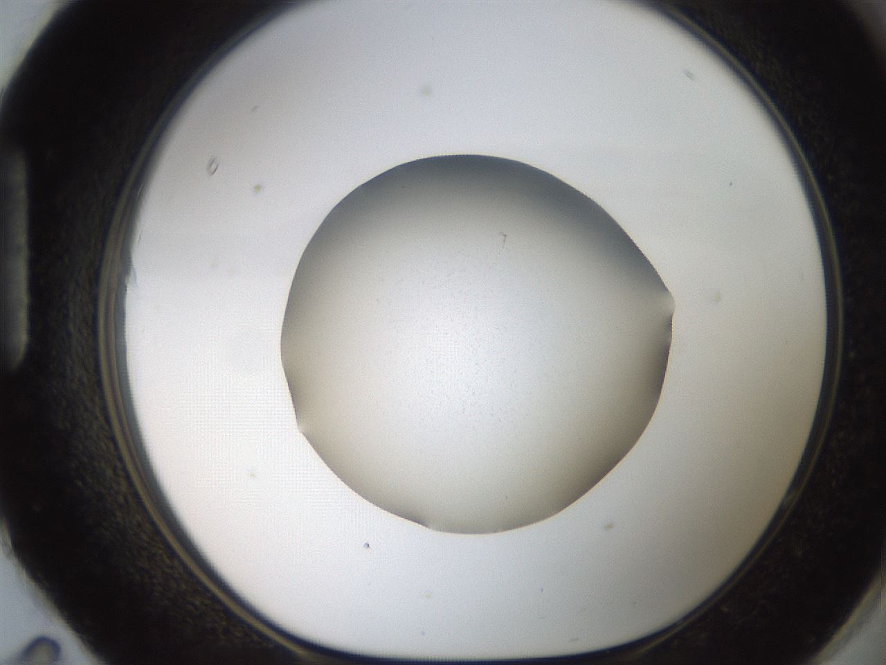 folderID185_plateID2185_batchID9802_wellNum95_profileID1_d1_r147925_ef.jpg