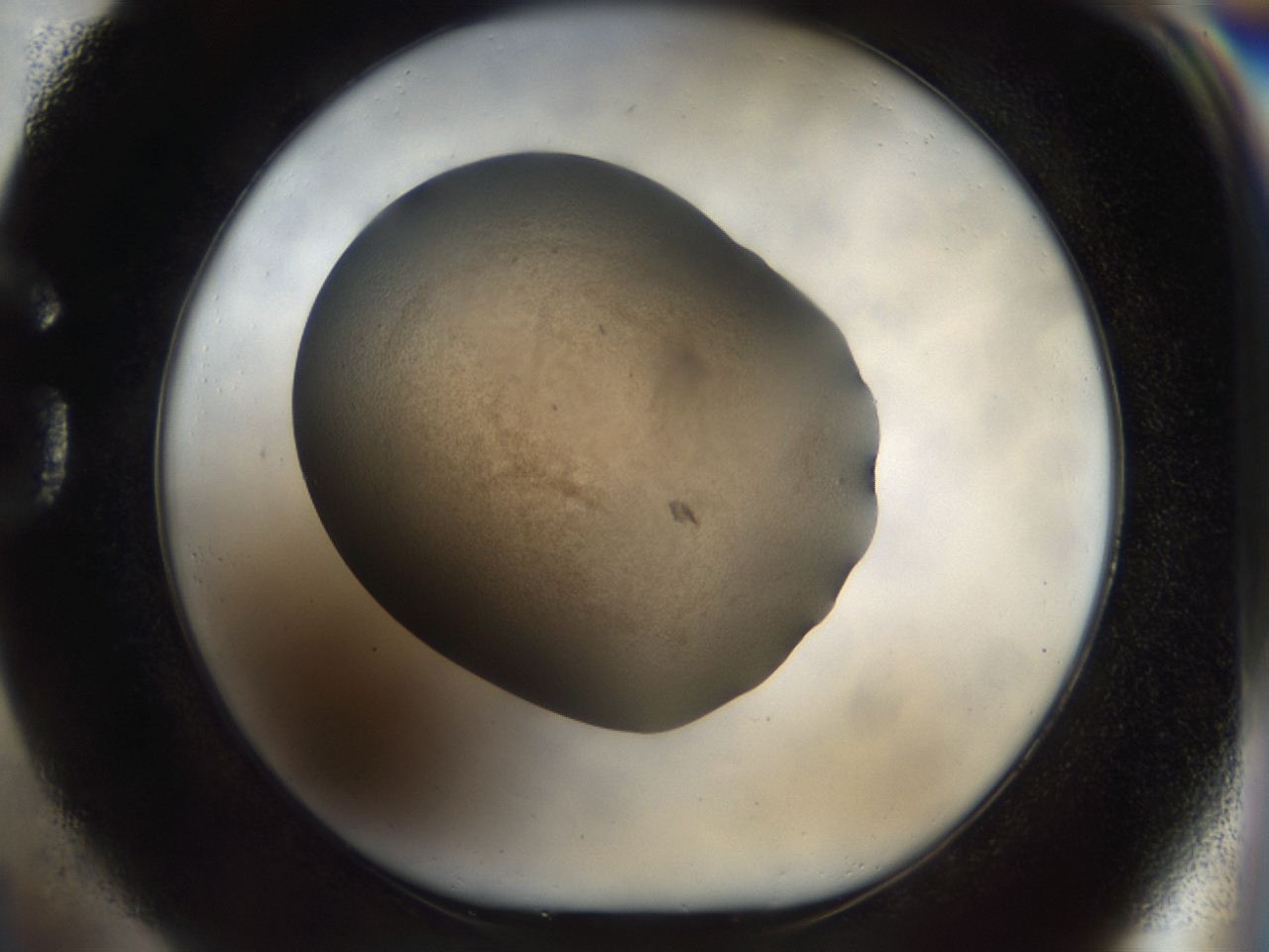 04ru_G1_ImagerDefaults_3.jpg