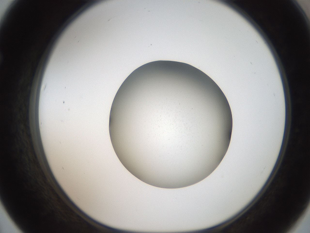 folderID188_plateID2188_batchID9760_wellNum67_profileID1_d1_r148089_ef.jpg