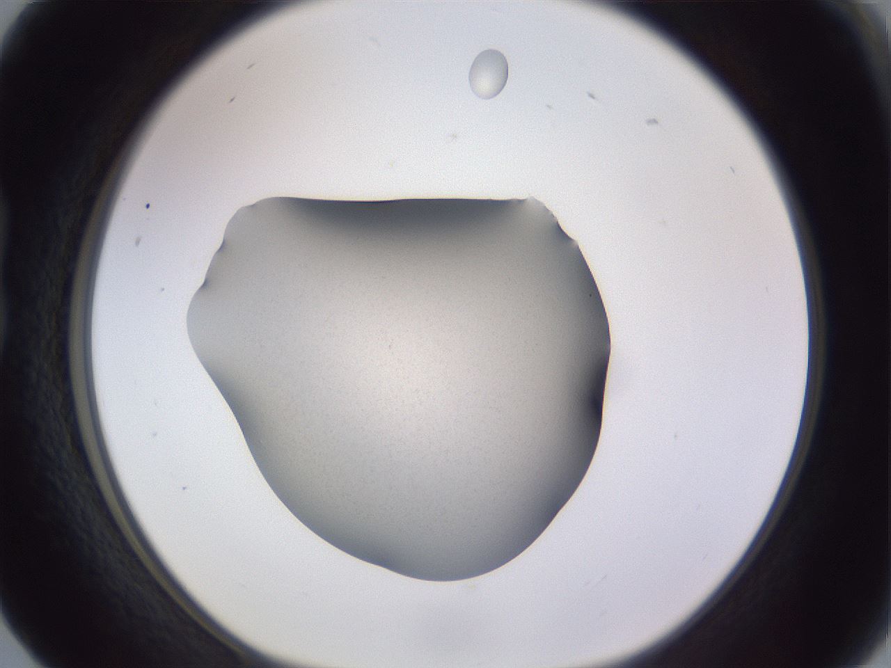 folderID189_plateID2189_batchID10235_wellNum17_profileID1_d1_r147943_ef.jpg