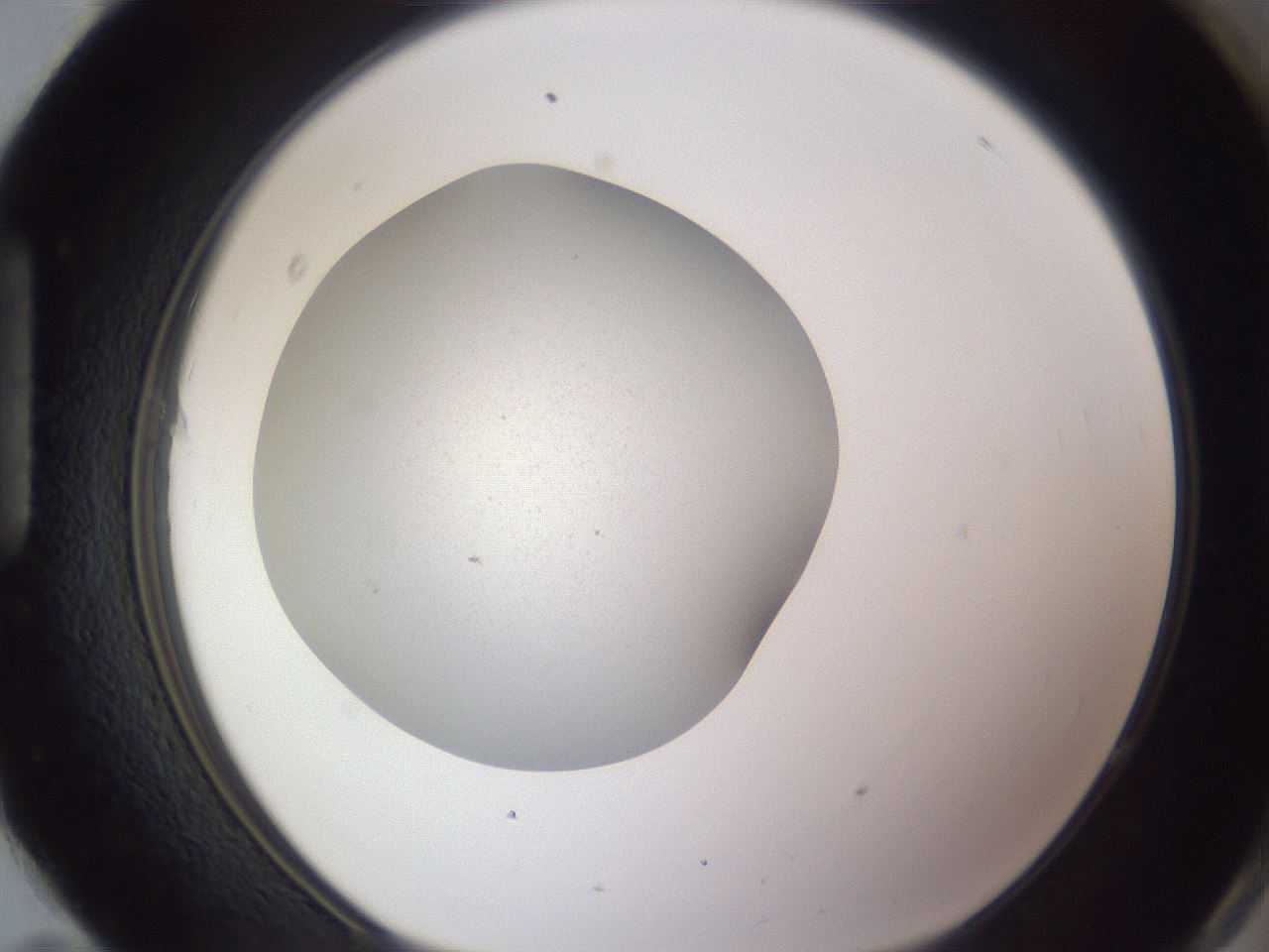 folderID190_plateID2190_batchID10068_wellNum95_profileID1_d1_r148597_ef.jpg