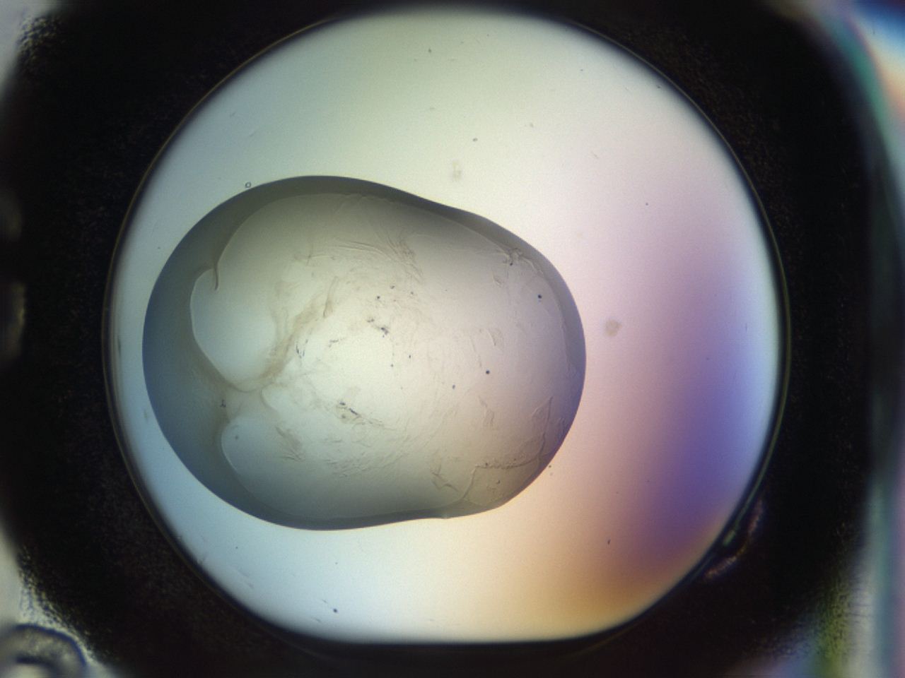 04ru_G10_ImagerDefaults_1.jpg